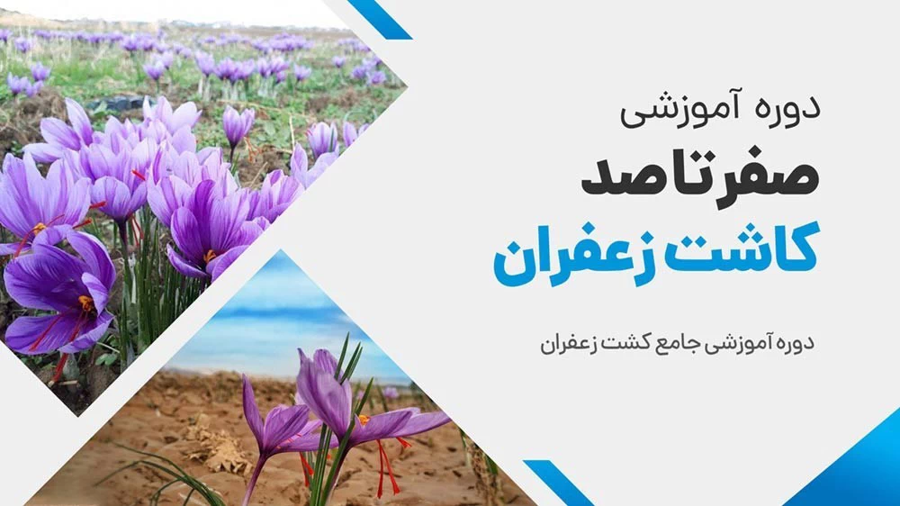 عکس اسلایدر